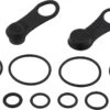 Lezyne Dichtungskit Für Alloy Drive Pumpe -Schrauben Schalten 489423